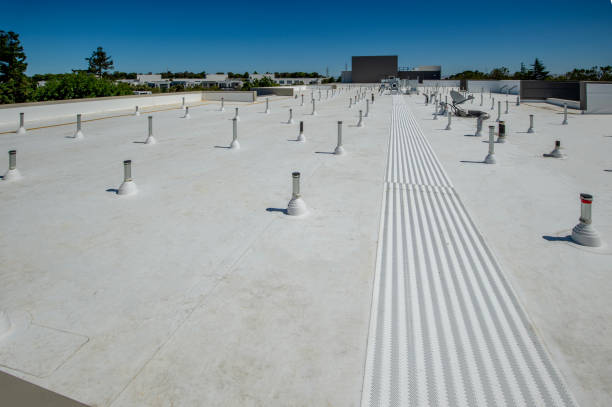 Best Cold Roofs  in Reisterstown, MD